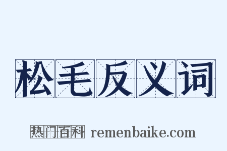 松毛反义词是什么意思的图片